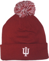 �C���f�B�A�i��t�[�W���[�Y �j�b�g�L���b�v